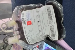 OPA Blood Donation Day